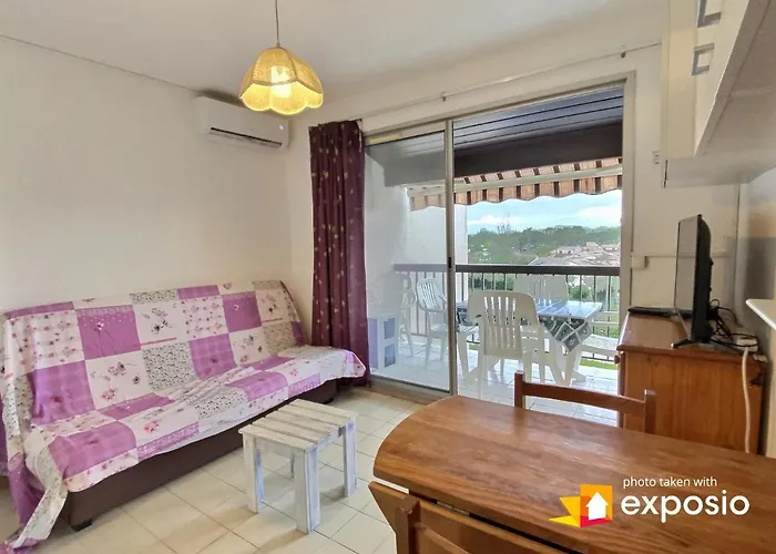 Appartement 4 Couchages Piscine , , Vue Canigou *